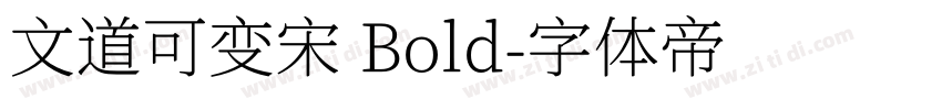 文道可变宋 Bold字体转换